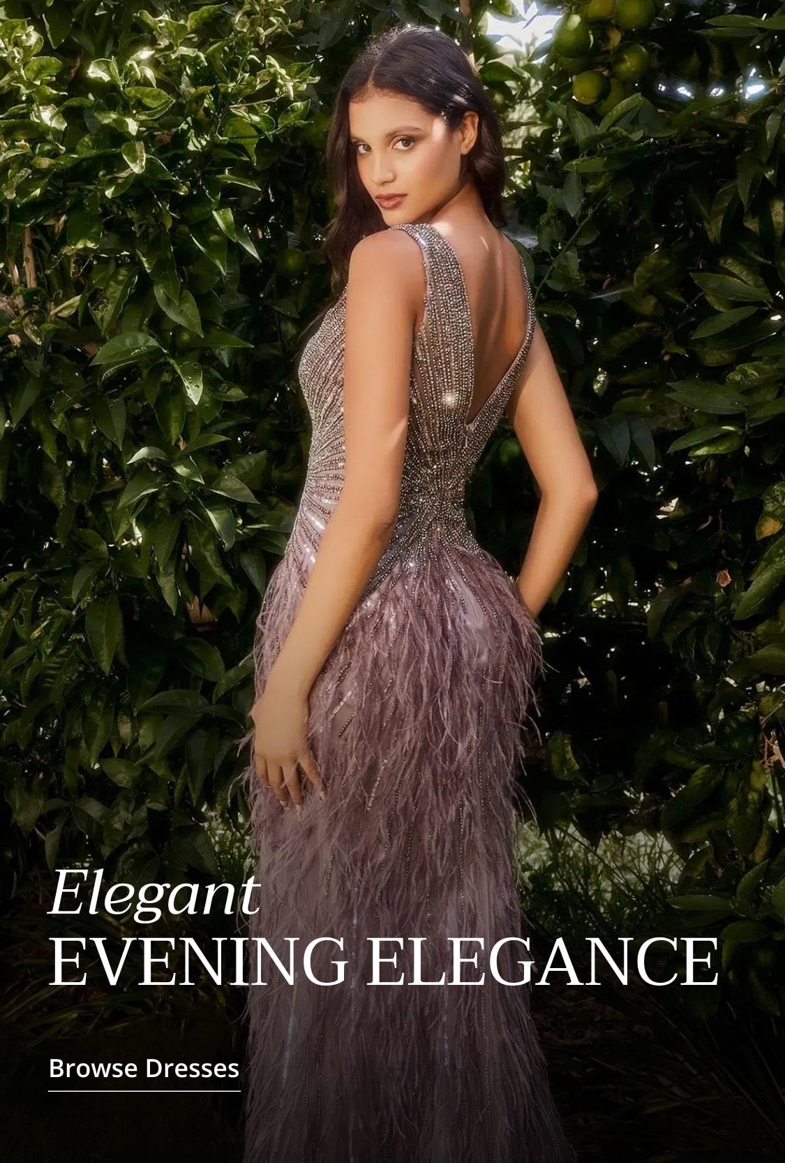 evening dresses banner